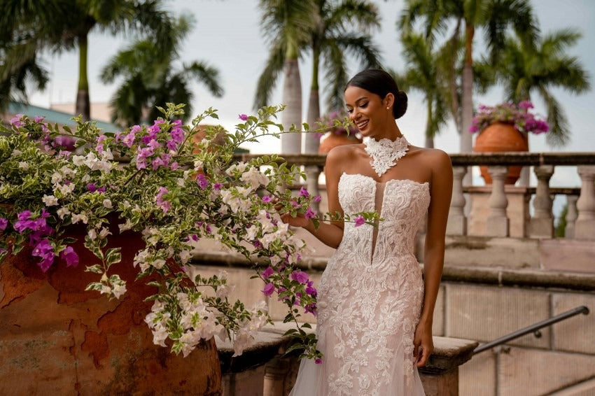 Supernova SN-294-Michelle