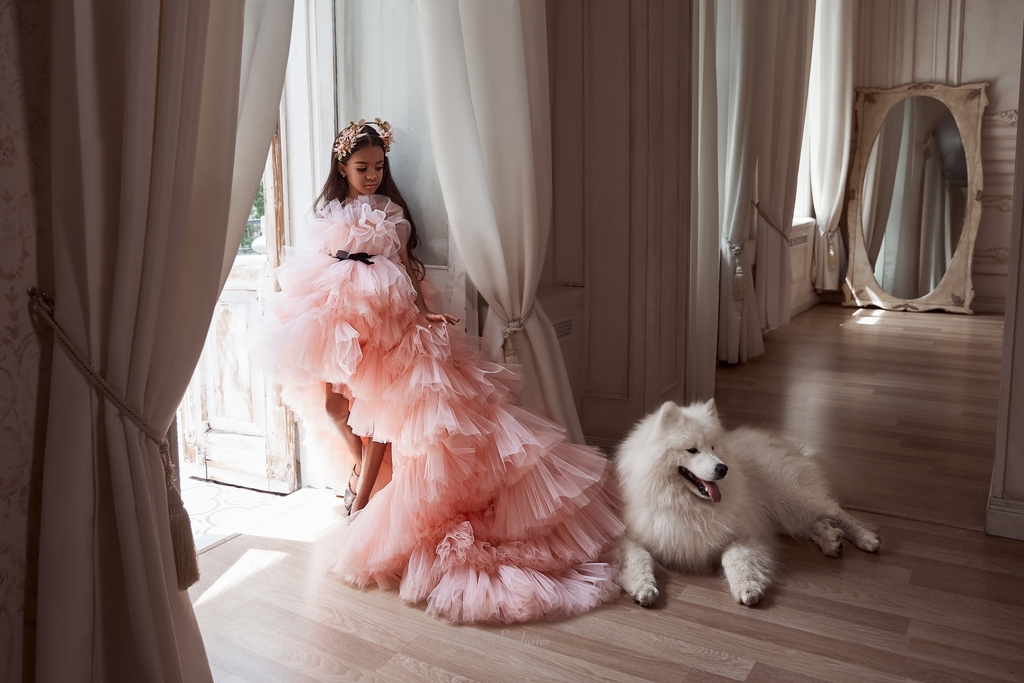 Pentelei 3101 elegant and enchanting: sweep train formal dress  | Girls Formal Dress