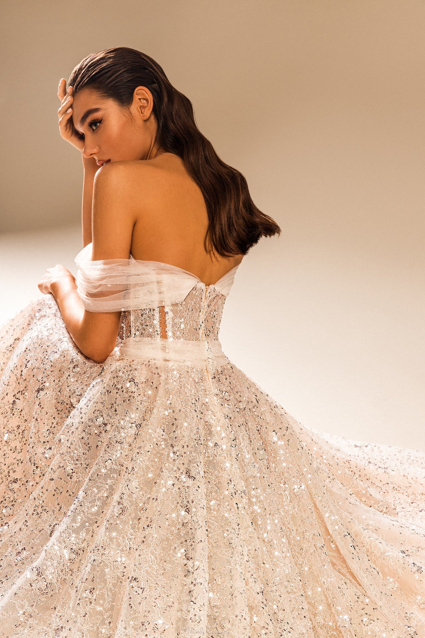 Wedding dress, sparkle details, ball gown skirt, guipure, glitter, ivory, Nude mesh 14 / Nude Wedding dress, sparkle details, ball gown skirt, guipure, glitter, ivory, Nude mesh 14 / Nude